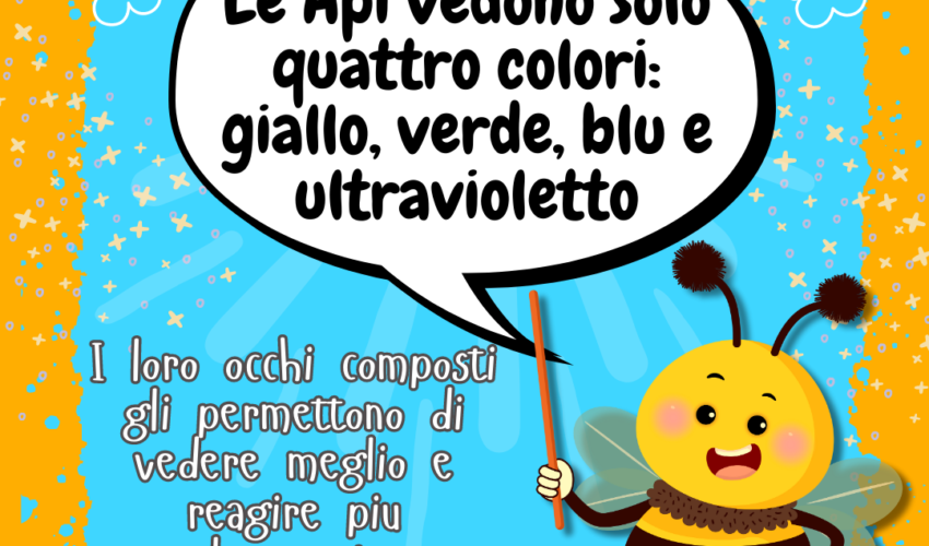 L'Oasi delle Api - Sermoneta - E Tu Lo Sai - Come vedono i Colori